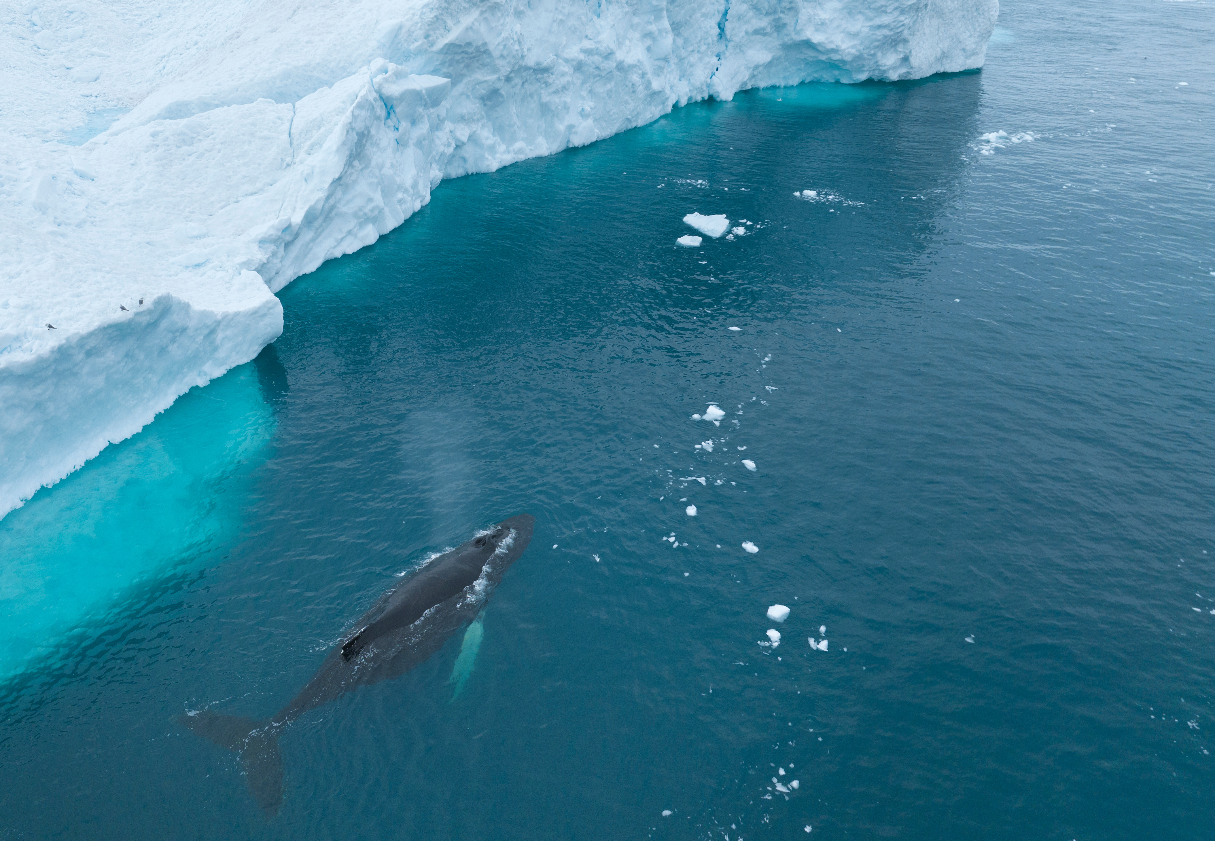 Dr. Alexander Ressos, Lawyer, Digital Assets, Crypto, Blockchain, Singapore, Hong Kong, Zug/Switzerland